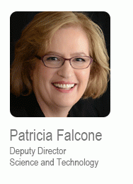 P falcone profile photo.